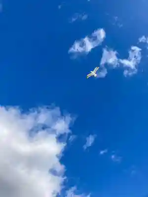 金刀比羅社の動物