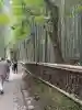 野宮神社の{uncategorized: "未分類", other: "その他", undefined: "問題あり", building: "その他建物", grave: "お墓", sacred_gate: "鳥居", guardian: "狛犬", statue: "像", buddha: "仏像", history: "歴史", nature: "自然", garden: "庭園", animal: "動物", pagoda: "塔", temizu: "手水舎", mountain_gate: "山門・神門", sanctuary: "本殿・本堂", subordinate: "末社・摂社", art: "芸術", scenery: "景色", jizo: "地蔵", ema: "絵馬", goshuin: "御朱印", omikuji: "おみくじ", items: "授与品その他", amulet: "お守り", goshuincho: "御朱印帳", eats: "食事", festival: "お祭り", votive_dance: "神楽", shichigosan: "七五三参", wedding: "結婚式", experience: "体験その他", initially: "初詣", around: "周辺", anti_infection: "感染症対策"}