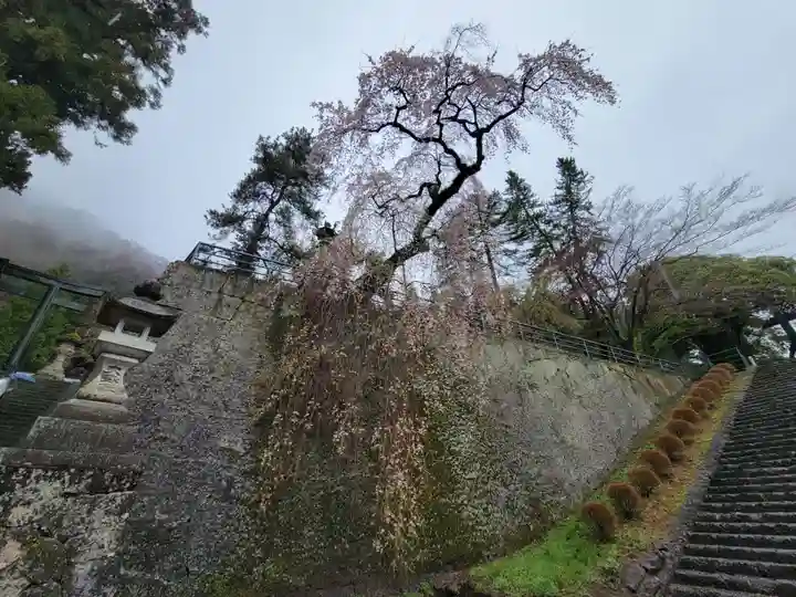 妙義神社(群馬県)