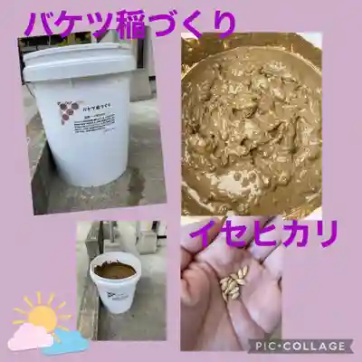 大鏑神社の体験その他