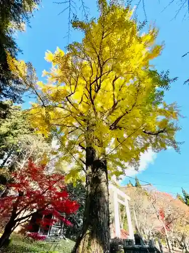 土津神社｜こどもと出世の神さまの自然