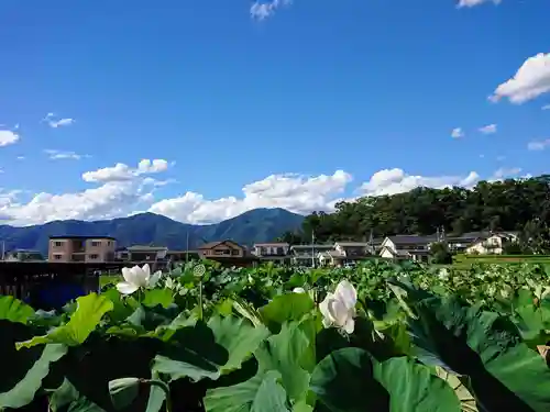 信濃國分寺(長野県)