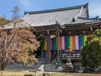  智積院(京都府)