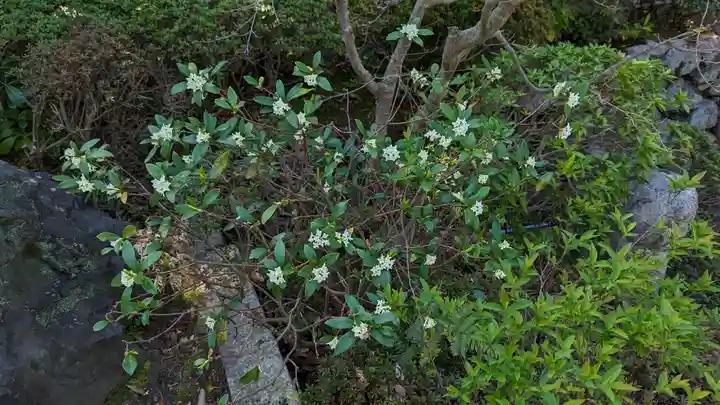 霊源院(京都府)