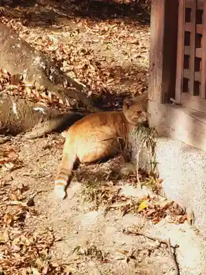 安積國造神社(福島県)