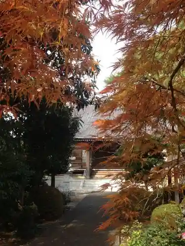 密蔵院の庭園