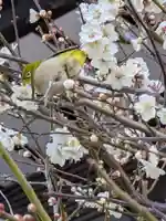 熊野神社(東京都)