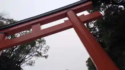 賀茂御祖神社（下鴨神社）(京都府)
