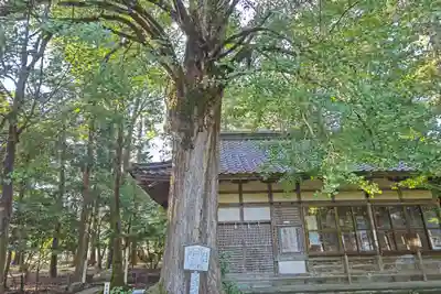 若狭姫神社（若狭彦神社下社）(福井県)