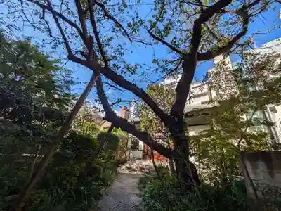 金竜寺(東京都)