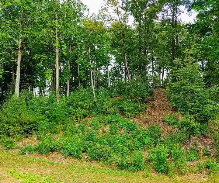 東之宮社の周辺