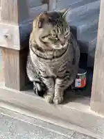 大聖観音寺(あびこ観音)の動物