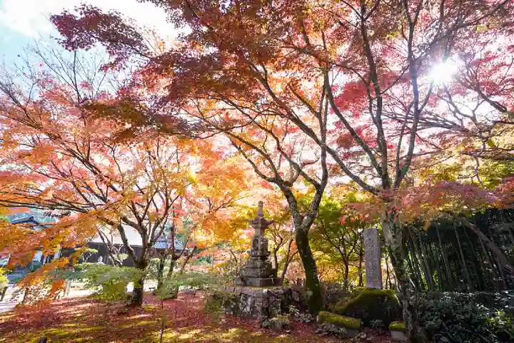 両足寺(山口県)