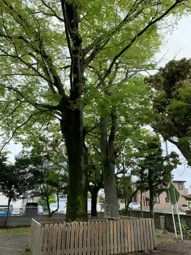 水戸島八幡宮(静岡県)