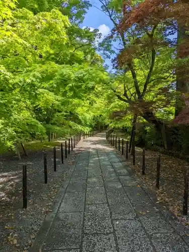 光明寺（粟生光明寺）(京都府)