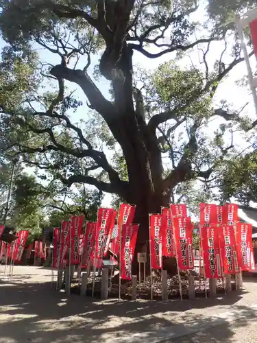 住吉大社の自然