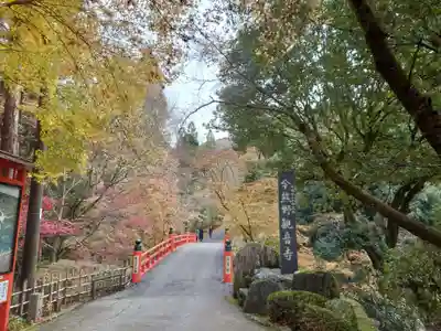 今熊野観音寺(京都府)