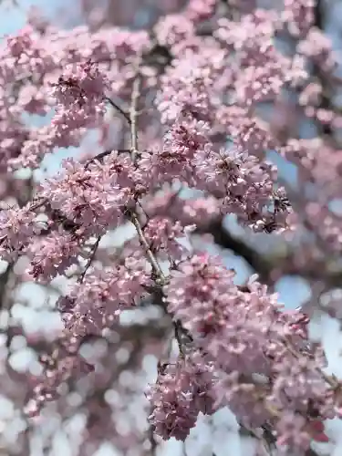 松源寺(群馬県)