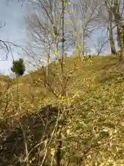 たばこ神社の自然