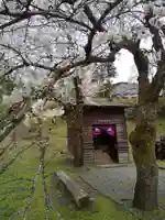 朝倉神社(福井県)