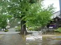 地蔵寺(徳島県)