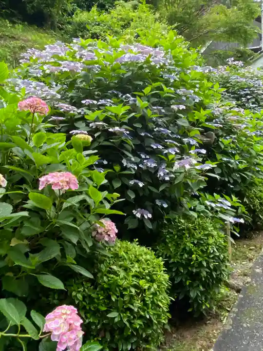 西法院(岡山県)