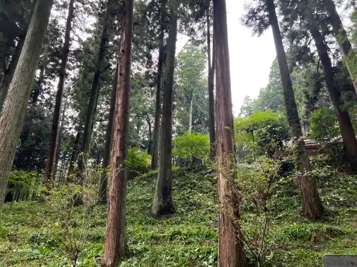 大宮温泉神社(栃木県)