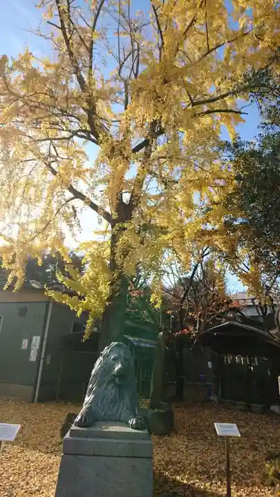 牛嶋神社の狛犬