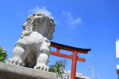 鶴岡八幡宮の狛犬