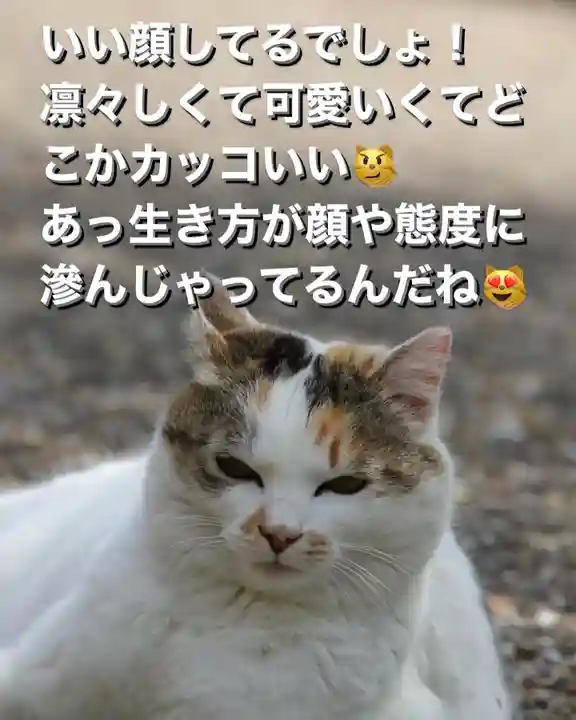 専念寺(大阪府)