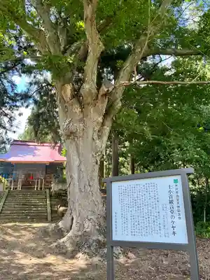 上小菅観音 (山形県)