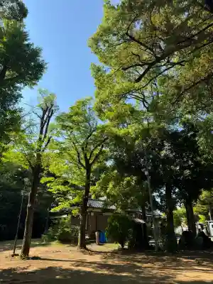 豊玉氷川神社の{uncategorized: "未分類", other: "その他", undefined: "問題あり", building: "その他建物", grave: "お墓", sacred_gate: "鳥居", guardian: "狛犬", statue: "像", buddha: "仏像", history: "歴史", nature: "自然", garden: "庭園", animal: "動物", pagoda: "塔", temizu: "手水舎", mountain_gate: "山門・神門", sanctuary: "本殿・本堂", subordinate: "末社・摂社", art: "芸術", scenery: "景色", jizo: "地蔵", ema: "絵馬", goshuin: "御朱印", omikuji: "おみくじ", items: "授与品その他", amulet: "お守り", goshuincho: "御朱印帳", eats: "食事", festival: "お祭り", votive_dance: "神楽", shichigosan: "七五三参", wedding: "結婚式", experience: "体験その他", initially: "初詣", around: "周辺", anti_infection: "感染症対策"}