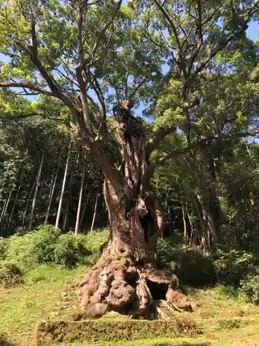 武雄神社(佐賀県)
