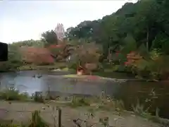 浄瑠璃寺(京都府)