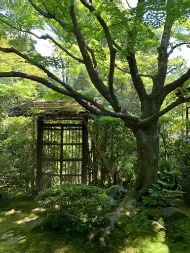 桂春院の庭園