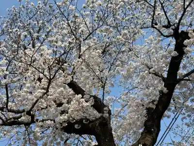 武蔵一宮氷川神社の{uncategorized: "未分類", other: "その他", undefined: "問題あり", building: "その他建物", grave: "お墓", sacred_gate: "鳥居", guardian: "狛犬", statue: "像", buddha: "仏像", history: "歴史", nature: "自然", garden: "庭園", animal: "動物", pagoda: "塔", temizu: "手水舎", mountain_gate: "山門・神門", sanctuary: "本殿・本堂", subordinate: "末社・摂社", art: "芸術", scenery: "景色", jizo: "地蔵", ema: "絵馬", goshuin: "御朱印", omikuji: "おみくじ", items: "授与品その他", amulet: "お守り", goshuincho: "御朱印帳", eats: "食事", festival: "お祭り", votive_dance: "神楽", shichigosan: "七五三参", wedding: "結婚式", experience: "体験その他", initially: "初詣", around: "周辺", anti_infection: "感染症対策"}