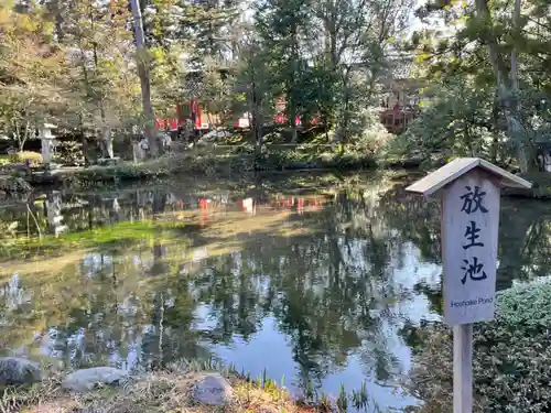 金澤神社の庭園