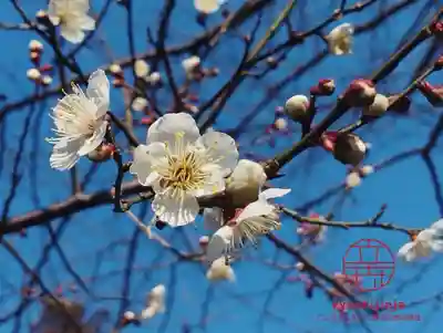 立志神社(滋賀県)