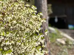 菱野健功神社の自然