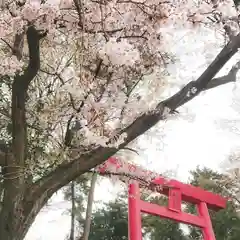 若宮神明社の自然