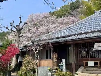 地蔵院の{uncategorized: "未分類", other: "その他", undefined: "問題あり", building: "その他建物", grave: "お墓", sacred_gate: "鳥居", guardian: "狛犬", statue: "像", buddha: "仏像", history: "歴史", nature: "自然", garden: "庭園", animal: "動物", pagoda: "塔", temizu: "手水舎", mountain_gate: "山門・神門", sanctuary: "本殿・本堂", subordinate: "末社・摂社", art: "芸術", scenery: "景色", jizo: "地蔵", ema: "絵馬", goshuin: "御朱印", omikuji: "おみくじ", items: "授与品その他", amulet: "お守り", goshuincho: "御朱印帳", eats: "食事", festival: "お祭り", votive_dance: "神楽", shichigosan: "七五三参", wedding: "結婚式", experience: "体験その他", initially: "初詣", around: "周辺", anti_infection: "感染症対策"}