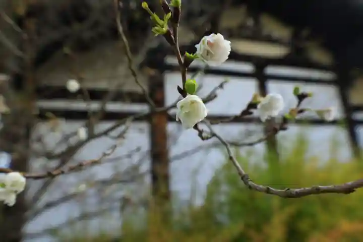 元興寺(奈良県)