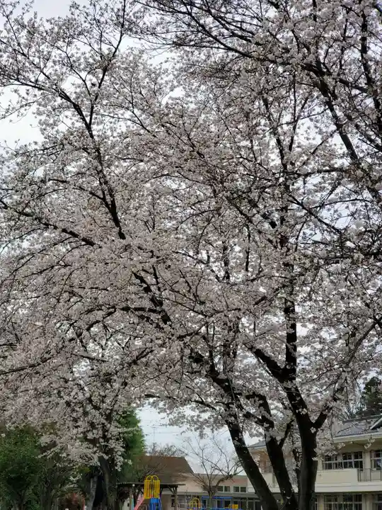 長良神社(群馬県)