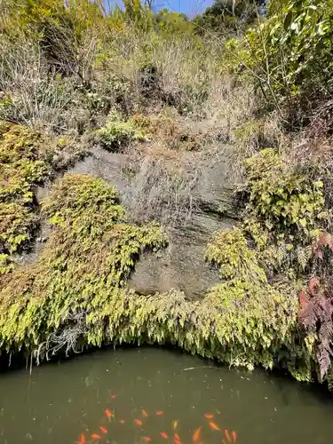 銭洗弁財天宇賀福神社(神奈川県)