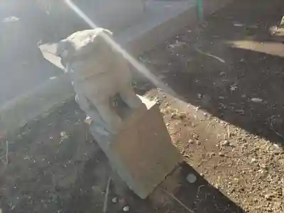 大野鯖大師の狛犬