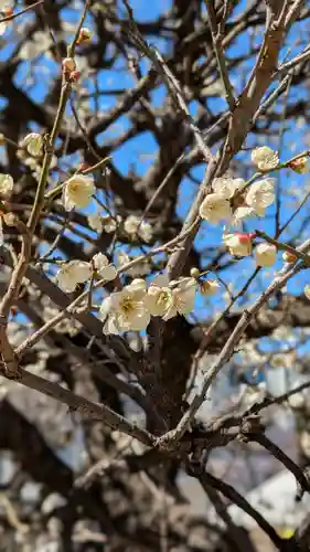 北野神社(東京都)