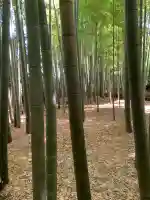 報国寺(神奈川県)