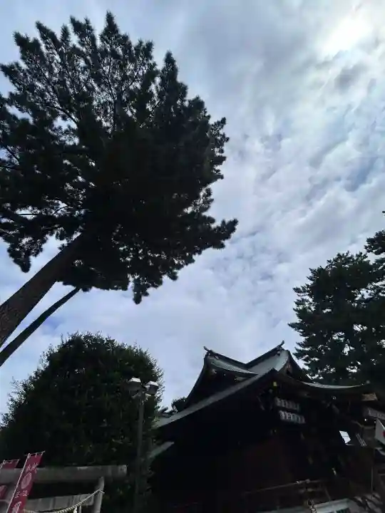 中野沼袋氷川神社(東京都)