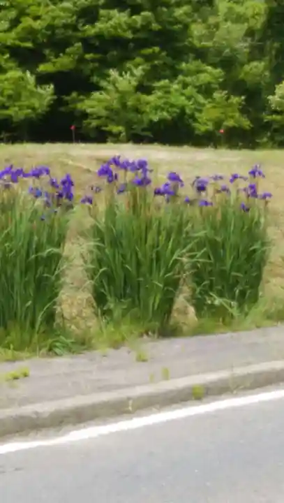 高司神社〜むすびの神の鎮まる社〜(福島県)