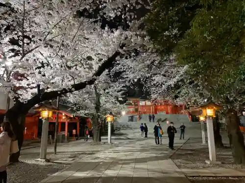 花園神社の自然